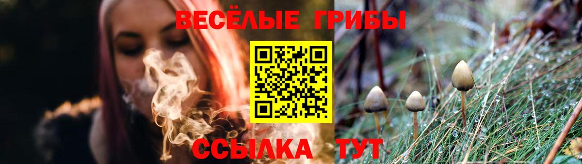 Псилоцибиновые грибы Cubensis  Псилоцибиновые грибы прущие грибы  Белореченск  Вход с VPN 
